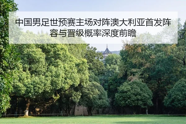 中国男足世预赛主场对阵澳大利亚首发阵容与晋级概率深度前瞻